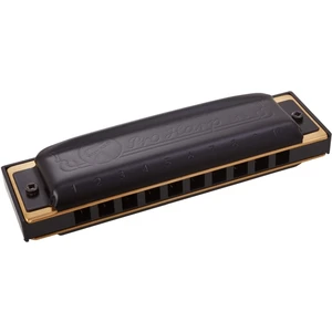 Hohner Pro Harp MS C Diatonic harmonica