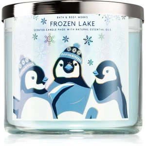 Bath & Body Works Frozen Lake vonná sviečka IV. 411 g