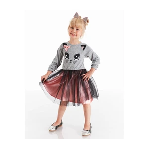 Dívčí šaty Denokids CFF-20S1-019/Grey, Pink, Black