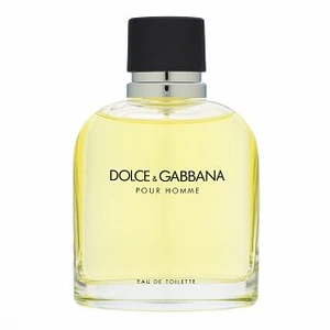 Dolce & Gabbana Pour Homme woda toaletowa dla mężczyzn 125 ml