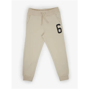 Beige Boys Sweatpants Tom Tailor - Boys