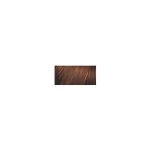 Schwarzkopf Permanentní barva na vlasy Palette Deluxe 3-65 (750) Čokoládový
