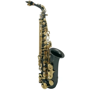 Roy Benson AS-202K Alto saxophone