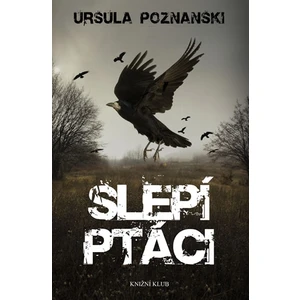 Slepí ptáci - Ursula Poznanski