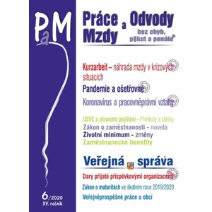 Práce, odvody a mzdy bez chyb, pokut a penále 6/2020 - Ladislav Jouza