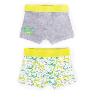 Yoclub Kids's Cotton Boys' Boxer Briefs Underwear 2-pack BMB-0011C-AA30-001