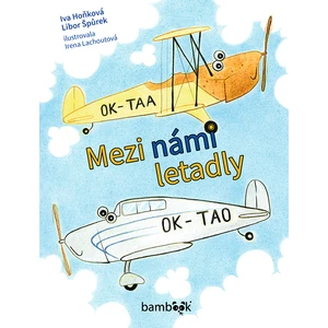 Mezi námi letadly, Hoňková Iva