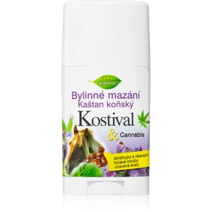 Bione Cosmetics Cannabis Kostival relaxační masážní balzám v tyčince 45 ml