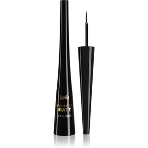 Delia Cosmetics Perfect Matt Shape Master tekuté linky na oči s matným efektom odtieň Black 4 ml