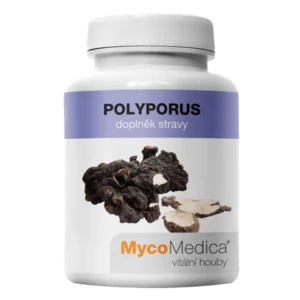 MycoMedica Polyporus 90 kapsúl