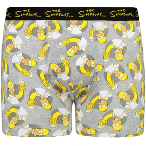 Boxer da uomo Character Simpsons 1P