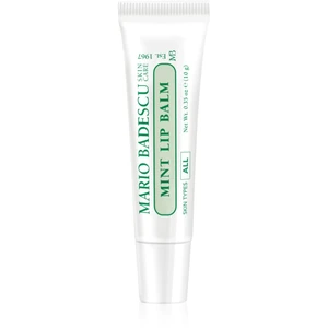 Mario Badescu Mint Lip Balm ultra výživný balzam na pery 10 g