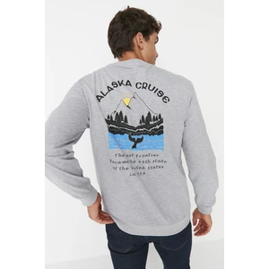 Trendyol Sweatshirt - Gray - Regular fit