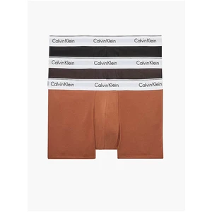 Set of three men's boxers in black and brown Calvin Klein Underwea - Men's