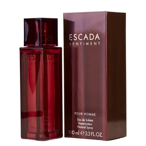 Escada Sentiment pour Homme woda toaletowa dla mężczyzn 100 ml