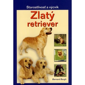 Zlatý retriever - Bargh Bernard