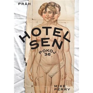 Hotel Sen, pokoj 36 - Mike Perry