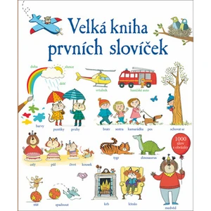 Velká kniha prvních slovíček - Mackinnon Mairi, Hindley Kate