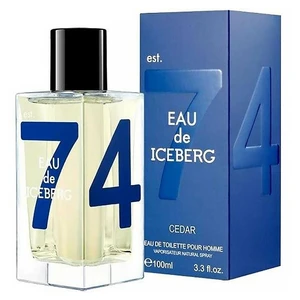 Iceberg Eau de Iceberg Cedar 100 ml toaletná voda pre mužov