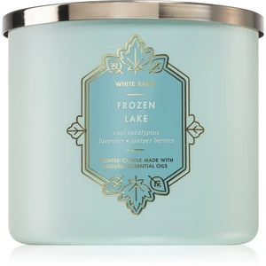 Bath & Body Works Frozen Lake vonná svíčka 411 g