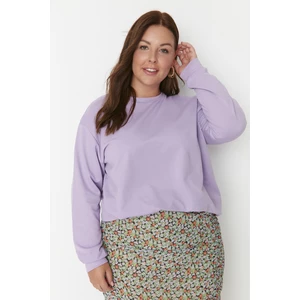 Trendyol Curve Lilac Crew Neck Basic Thin Knitted Sweatshirt