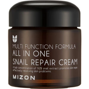 Mizon Regenerační pleťový krém s filtrátem hlemýždího sekretu 92% (All In One Snail Repair Cream) 75 ml