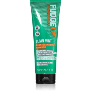 Fudge Clean Mint Shampoo šampón na mastné vlasy 250 ml