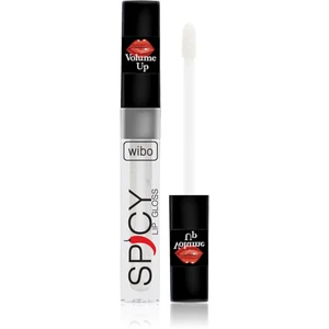 Wibo Lip Gloss Spicy lesk na rty pro větší objem 21 3 ml