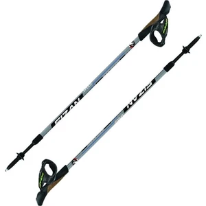 Fizan Speed Bâtons de Nordic Walking