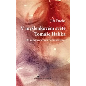 V myšlenkovém světě Tomáše Halíka - Jiří Fuchs