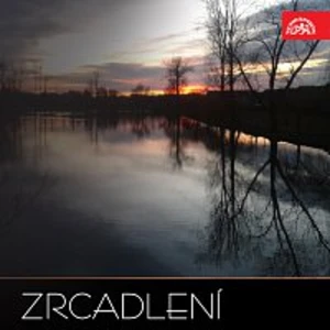 Různí interpreti – Zrcadlení