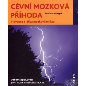 Cévní mozková příhoda - Valery Feigin