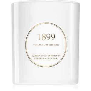 Cereria Mollá Gold Edition Tobacco & Amber vonná svíčka 230 g