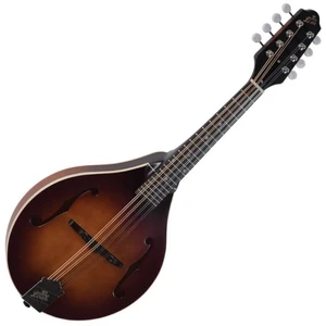 The Loar LM-110 Brownburst