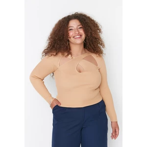 Trendyol Curve Plus Size Sweater - Brown - Slim fit
