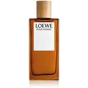 Loewe Loewe Pour Homme toaletní voda pro muže 100 ml