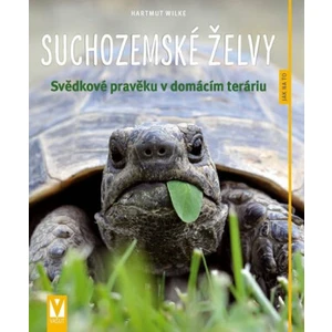 Suchozemské želvy - Hartmut Wilke