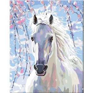 Zuty Malowanie po numerach Biały koń