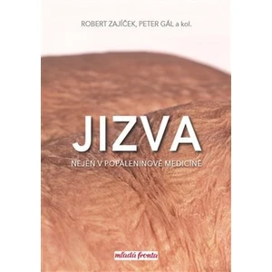 Jizva nejen v popáleninové medicíně
