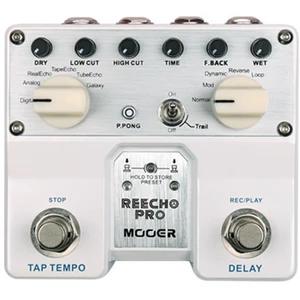 MOOER Reecho Pro