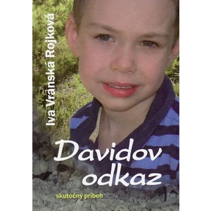 Davidov odkaz - Iva Vranská Rojková