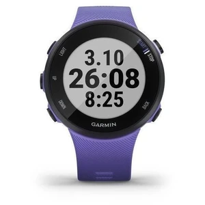 Garmin Forerunner 45S Iris