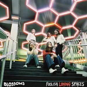 FOOLISH LOVING SPACES - BLOSSOMS [CD album]