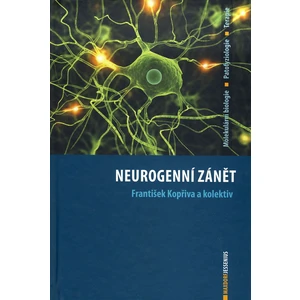 Neurogenní zánět