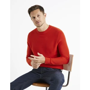 Celio Sweater Bepic with round neckline - Men