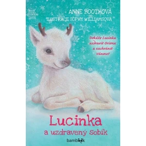 Lucinka a uzdravený sobík - Boothová Anne