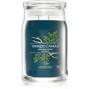 Yankee Candle Bayside Cedar vonná svíčka I. Signature 567 g