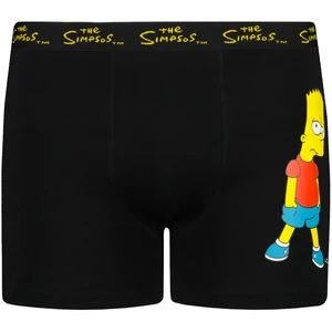 Boxer da uomo Character Simpsons 1P