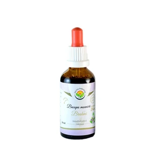 Salvia Paradise Bacopa monnieri - Brahmi AF tinktura 50 ml
