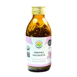 Salvia Paradise Vrbovka malokvetá kapsule 120 ks